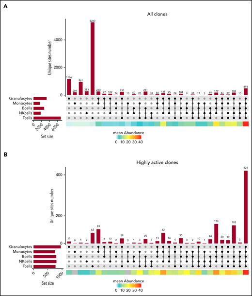 Clonal detection of ISs in the various cell lineages. (A) An UpSet plot showing the number of ISs detected in each single lineage and any combination of 2, 3, 4, or 5 cell lineages for patient WAS4 at m48 of follow-up, considering the IS dataset as a whole. The mean abundance in each category is shown by the heat map at the bottom of the graph. (B) An UpSet plot showing the number of ISs detected in each single lineage and any combination of 2, 3, 4, or 5 cell lineages for patient WAS4 at m48 of follow-up, considering only the highly abundant ISs. The mean abundance in each category is shown by the heat map at the bottom of the graph.