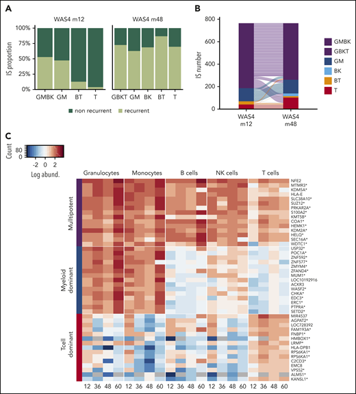Dynamic of HSPC subsets. (A) Proportion of ISs persisting over time in each IS subset. (B) An alluvial plot showing the changes in the different IS subsets comprising the 768 clones that were present at both m12 and m48. (C) A heat map showing the TOP15 IS clones from multipotent, myeloid-dominant, and T-cell-dominant subsets at m48 for the 4 available points (m12, m36, m48, and m60). Each row represents a unique IS clone, with its closest gene labeled on the right. Integration within the transcription unit is indicated by a star. IS abundance is represented by color-code scale.