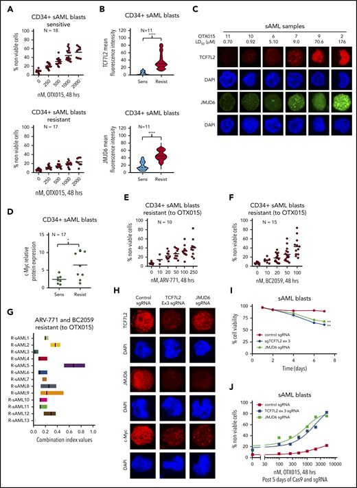 Treatment with BET-PROTAC and BC2059 exerts synergistic lethal activity in BETi-sensitive and resistant PD-CD34+ sAML cells. (A) PD CD34+ sAML cells (n = 35) were treated with the indicated concentrations of OTX015 for 48 hours. After this, the percentage of propidium iodide–positive, nonviable cells were determined by flow cytometry. Samples were separated based on response to OTX015 as sensitive (mean LD50 dose = 2 µM) or resistant (mean LD25 dose = 2 µM) to OTX015 treatment. (B) Violin plot of the mean fluorescence intensity of TCF7L2 or JMJD6 staining (as determined by confocal microscopy) in 11 sAML blast samples that were sensitive or resistant to OTX015 treatment. Asterisks (****) indicate mean fluorescence intensity values that are significantly greater (P < .0001) in sAML blasts resistant to OTX015 compared with sensitive sAML blast samples. (C) Representative images of sAML blast samples analyzed for TCF7L2 and JMJD6 expression by confocal microscopy (original magnification ×100). (D) Scatterplot of relative c-Myc protein expression in 17 sAML blast samples sensitive or resistant to OTX015 treatment. Asterisk (*) indicates c-Myc expression levels that are significantly greater (P < .05) in OTX015-resistant sAML blasts compared with OTX015-sensitive sAML blasts. (E-F) PD, CD34+ sAML cells determined to be resistant to OTX015 were treated with the indicated concentrations of ARV-771 (n = 10) or BC2059 (n = 15) for 48 hours. Then, the percentage of propidium iodide–positive, nonviable cells were determined by flow cytometry. (G) PD, CD34+ sAML blast cells resistant to OTX015 were treated with ARV-771 (dose range, 20-250 nM) and/or BC2059 (10-100 nM) for 48 hours. The percentage of propidium iodide–positive, nonviable cells were determined by flow cytometry. The graph shows the range of confidence interval (CI) values in each sAML sample following the combination treatments. CI values <1.0 indicate a synergistic interaction of the drugs. (H) PD, sAML blast cells were transfected with negative control sgRNA, TCF7L2 sgRNA, or JMJD6 sgRNA and incubated on a monolayer of GFP-expressing HS5 cells for 5 days. Then, cells were cytospun onto glass slides and immunostained for TCF7L2, JMJD6, or c-Myc expression. Nuclei were stained with DAPI. Cells were imaged by confocal microscopy (original magnification ×100). (I) PD, sAML blast cells were transfected and cultured as in panel H. The cell viability of the sAML cells was monitored over 7 days. Asterisks (**) indicate cell viability values significantly less (P < .01) in TCF7L2 or JMJD6 sgRNA-transfected cells compared with negative control sgRNA-transfected cells. (J) PD, sAML blast cells were transfected and cultured as in panel H for 5 days. Then, cells were treated with the indicated concentrations of OTX015 for 48 hours. At the end of treatment, the percentage of propidium iodide–positive, nonviable cells was determined by flow cytometry.