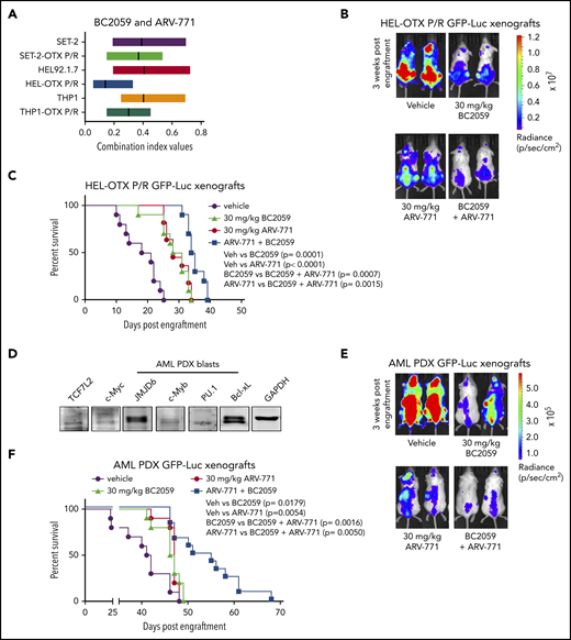 Combined treatment with ARV-771 and BC2059 exhibits superior antileukemia activity compared with treatment with either agent alone in NSG mice engrafted with OTX-P/R sAML cells or innately resistant patient-derived AML xenografts. (A) SET-2, SET-2-OTX P/R, HEL, HEL-OTX P/R, THP1, and THP1 OTX P/R cells were treated with ARV-771 (dose range, 20-250 nM) and/or BC2059 (10-100 nM) for 48 hours. Following this, the percentage of annexin V–positive, apoptotic cells were determined by flow cytometry. CI values were calculated utilizing Compuyn and graphed with GraphPad V7. The box plot shows the range of CI values in each cell line treated with the combination. CI values <1.0 indicate a synergistic interaction of the drugs. (B) HEL-OTX P/R-GFP-Luc cells were engrafted into preirradiated NSG mice. Once engraftment was confirmed by bioluminescent imaging (Xenogen IVIS), mice were divided into groups and treated with vehicle, ARV-771, and/or BC2059 as indicated for 3 weeks. Mice were imaged weekly to document treatment efficacy. (C) Kaplan-Meier survival plot of NSG mice engrafted with HEL-OTX P/R-GFP-Luc cells and treated for 3 weeks with ARV-771 and/or BC2059. (D) Immunoblot analysis of protein expression in AML PDX blast cells. The expression levels of GAPDH served as the loading control. (E) Innately BETi-resistant AML PDX-GFP-Luc cells were engrafted into preirradiated NSG mice. Once engraftment was confirmed by bioluminescent imaging (Xenogen IVIS), mice were divided into groups and treated with vehicle, ARV-771, and/or BC2059 as indicated for 3 weeks. Mice were imaged weekly to document treatment efficacy. (F) Kaplan-Meier survival plot of NSG mice engrafted with BETi-resistant AML PDX-GFP-Luc cells and treated for 3 weeks with ARV-771 and/or BC2059.