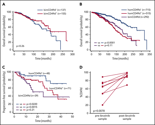 Clinical impact of CD49d bimodal expression in the context of chemoimmunotherapy and ibrutinib treatment. (A) OS Kaplan-Meier curves of all bimCD49d CLL cases split in bimCD49d− (blue curves) and bimCD49d+ (red curves) groups according to the 30% cutoff. (B) OS Kaplan-Meier curves of CLL cases with bimodal CD49d expression (bimCD49d, purple curves), homogeneous-negative (homCD49d−, blue curves), and homogeneous-positive (homCD49d+, red curves) CD49d expression. (C) PFS Kaplan-Meier curves of ibrutinib-treated CLL cases with bimodal CD49d expression (bimCD49d, purple curve), negative (neg; blue curve), and positive (pos; red curve) homogeneous CD49d expression (homCD49d). (D) CD49d expression in 2 sequential samples from 8 CLL cases with CD49d bimodal expression treated with ibrutinib between samplings; P values refer to the log-rank test (A-C) and to the paired Wilcoxon test (D).