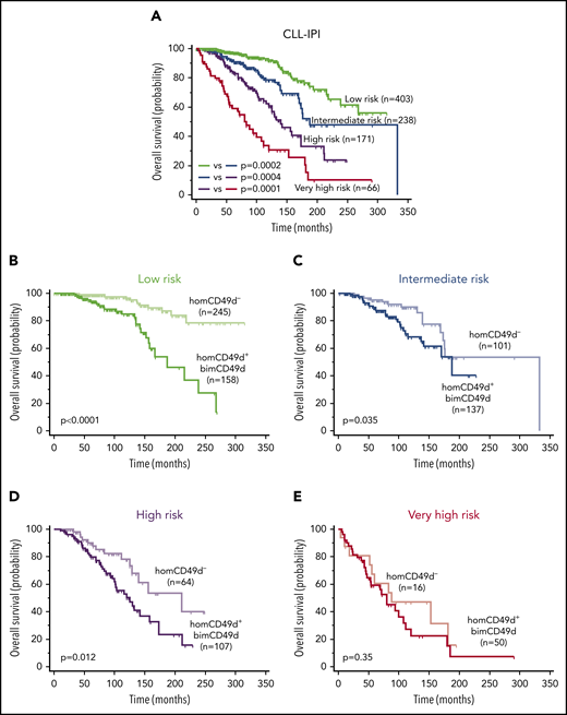 Clinical impact of CD49d expression in the context of CLL-IPI categories. (A) OS Kaplan-Meier curves of CLL cases split in the 4 risk categories of the CLL IPI. (B-E) OS curves of CLL cases with homogeneous-negative CD49d expression (homCD49d−, light curve) and the merging of homogeneous-positive (homCD49d+) and bimodal CD49d (bimCD49d) expression (dark curve) in the context of the low-risk (B), intermediate-risk (C), high-risk (D) and very-high-risk (E) categories of the CLL-IPI. P values refer to the log-rank test.