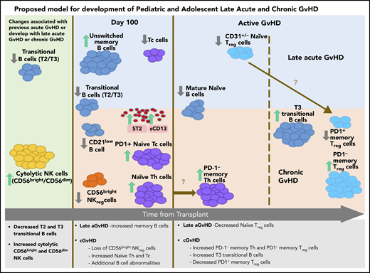Summary of late aGVHD and cGVHD immune profile differences and progression in pediatric and adolescent patients.