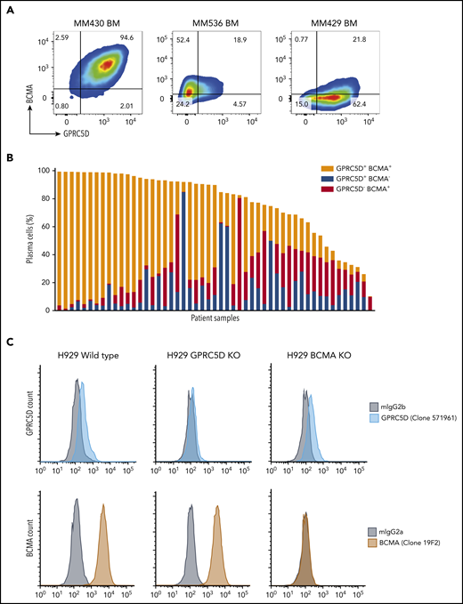 Expression of GPRC5D and BCMA on MM cells. (A) MM patient BM MNCs showing various profiles of GPRC5D and BCMA expression. Cells were gated using the CD138 plasma-cell marker (MI15; BioLegend) and antibodies to GPRC5D and BCMA to measure their surface expression (GPRC5D: 571961, R&D Systems; BCMA: 19F2, BioLegend). The left panel is representative of most patient samples surveyed, while the middle and right panels depict skewed expression for BCMA or GPRC5D, which was seen in a minority of patients (see panel B). (B) Expression of GPRC5D and BCMA surface protein in 51 BM MNC samples from MM patients on CD138+ cells as measured by flow cytometry. Each column represents an individual patient sample. Data are expressed as percent positivity of all CD138+ cells. (C) Generation of GPRC5D (top row) and BCMA (bottom row) KO H929 cells by CRISPR. Loss of signal can be seen in the KO cells compared with the isotype control (gray). (D) JNJ-64407564 (black circle) efficiently depleted H929 wild-type or BCMA KO cells, but not GPRC5D KO cells. Percent cytotoxicity and T-cell activation were measured as in Figure 2. A positive control BCMAxCD3 antibody (red triangle) killed wild-type H929 and GPRC5D KO cells but had no effect on BCMA KO cells. The negative control antibody NullxCD3 (blue square) had no effect on cytotoxicity or T-cell activation in all cell lines.