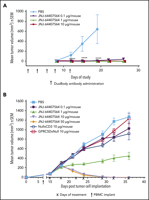JNJ-64407564 can inhibit and regress tumors in murine models of MM. (A) JNJ-64407564 inhibits H929 tumor growth in a prophylactic xenograft model. NSG mice were injected IV with 1 × 107 human PBMCs, and after 7 days, each mouse received SC injection of 5 × 106 H929 cells in the right flank followed by IV administration of PBS (black circles) or JNJ-64407564 antibody at 0.1 µg (0.005 mg/kg, green downward triangle), 1 µg (0.05 mg/kg, red upward triangle), or 10 µg (0.5 mg/kg, blue square) per animal on days 0, 3, 5, 7, and 10. By day 19, the mean tumor volume of the PBS-treated control group (n = 6) had exceeded 600 mm3, and the mice were terminated. (B) JNJ-64407564 causes tumor regression in MM.1S MM xenograft model. Each mouse received 1 × 107 MM.1S cells in PBS in a total volume of 0.2 mL. Cells were implanted SC in the right flank using a 1-cm3 syringe and a 26-gauge needle. The day of tumor cell implantation was designated as day 0. On day 7 after tumor cell implant, animals were randomized with a tumor volume of ∼75 mm3 and received IV injection of 1 × 107 human PBMCs. Treatments were initiated on day 15, with each mouse receiving IV administration of PBS (black square) or JNJ-64407564 at 0.1 µg (0.005 mg/kg, blue circle), 1 µg (0.05 mg/kg, green upward triangle), 10 µg (0.5 mg/kg, red downward triangle), or 50 µg (2.5 mg/kg, orange diamond). Null bispecific antibody controls, GPRC5DxNull (dark green open square) and NullxCD3 (purple open circle), were each dosed at 10 µg per mouse. Treatments were administered for a total of 7 doses on days 15, 18, 22, 24, 29, 32, and 36 (indicated as “x” on the x-axis). Tumor measurements were taken up to day 36, when 80% to 100% of mice remained on study for each group. SEM, standard error of the mean.