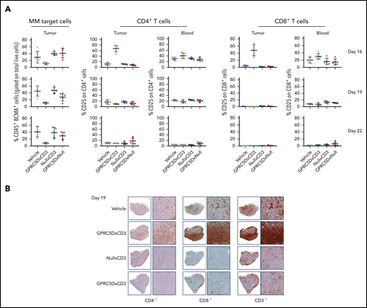 GPRC5D+ cells are depleted from MM.1S tumors. (A-B) A repeat MM.1S study was conducted testing 1 dose (10 μg) of JNJ-64407564 and control bispecific antibodies. (A) Tumor and blood samples were analyzed on the day after dosing on days 16 and 19 for tumor-cell number by staining with anti-BCMA antibody (percent remaining human CD45+ and BCMA+ cells on the y-axis; first column) and T-cell activation (percent CD25+ and CD4+ or CD8+ T cells on the y-axis; remaining columns). The BCMA antibody was used as a second plasma-cell marker to avoid using a GPRC5D antibody in the ex vivo testing. (B) T-cell (CD3+, CD4+, CD8+; SP57, Ventana) infiltration within the tumors. For each section, the left panel is low magnification (1.5×) and the right panel is a higher magnification (10×).