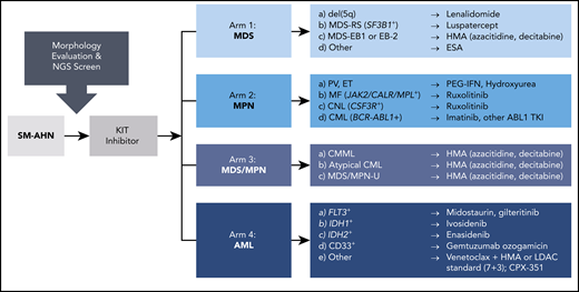 A precision medicine, adaptive trial scheme for diverse SM-AHN variants. Baseline morphologic evaluation, serum tryptase level, KIT D816V VAF, and NGS are used to characterize the burden of SM as well as the type and stage of AHN (if present). This information is also used to stratify patients into potential treatment arms with therapies based on the identification of druggable targets. CML, chronic myeloid leukemia; CNL, chronic neutrophilic leukemia; ESA, erythropoiesis-stimulating agent; ET, essential thrombocythemia; HMA, hypomethylating agent; LDAC, low-dose cytarabine; MDS EB-1 or EB-2, MDS with excess blasts-1 or excess blasts-2; MDS-RS, MDS with ring sideroblasts; MF, myelofibrosis; MPN-U, MPN unclassifiable; PEG-IFN, pegylated interferon; PV, polycythemia vera; TKI, tyrosine kinase inhibitor.