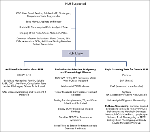 Representative nonexhaustive flowchart of testing that can be considered during the evaluation of a pediatric patient with suspected HLH. No one algorithm is right for every patient. Clinicians should always consult with local multidisciplinary specialists regarding evaluations and consider consultation with physicians with expertise in HLH. Genetic testing should also be performed in many cases. CBC, complete blood count; CMV, cytomegalovirus; HSV, herpes simplex virus; PCR, polymerase chain reaction; PET-CT, positron emission tomography-computed tomography; TB, tuberculosis; TREC, T-cell receptor excision circle; VZV, varicella-zoster virus.