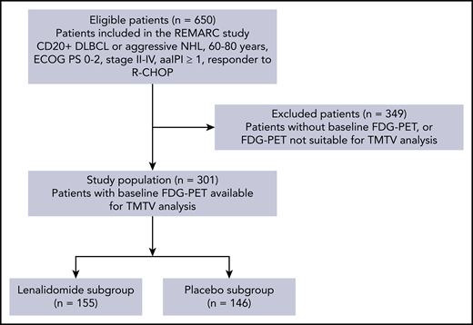CONSORT flowchart of patients by TMTV analysis and treatment arm. FDG, fluorodeoxyglucose; NHL, non-Hodgkin lymphoma.