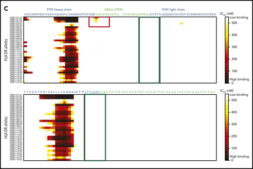 HLA DR allele binding analysis of novel mutations and junctions in construct 3 to identify potential neoepitopes. (A) Construct 3, rFVIIIFc-VWF-XTEN, contains an R1648A mutation in the FVIII chain, introduced to avoid cleavage at R1648 and prevent intracellular processing into heavy and light chains. In the D3 domain, amino acids Cys1099 and Cys1142 were mutated to Ala to prevent DʹD3 dimerization. (B,C) Amino acid binding predictions to various HLA DR alleles were evaluated with the NetMHCIIpan, version 3.0, method, as described previously.61 Binding predictions are depicted before (B; red box; top) and after (B; red box, bottom) mutating WT-R1648 into R1648A in construct 3. After deleting the 9 amino acid residues from the FVIII B-domain linker that captures R1648A (C; green box, top), and before (C; red box; top; green box, bottom) deleting the GAP residues at the FVIII-XTEN junction. GAP residues were from XhoI restriction enzyme site, originally introduced to allow XTEN insertion into FVIII during cloning. IC50, half-maximal inhibitory concentration.