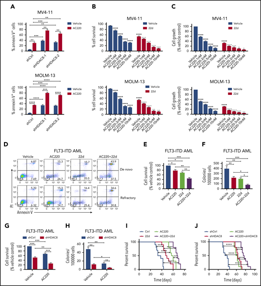 HDAC8 inhibition enhances AC220-mediated elimination of FLT3-ITD+ AML. (A) MV4-11 cells and MOLM-13 cells were transduced with lentiviral vectors expressing doxycycline-inducible control shRNA (shCtrl) or HDAC8 shRNA (shHDAC8-1 and shHDAC8-2). Doxycycline was added to induce shRNA expression for 48 hours. Then cells were treated with vehicle (dimethyl sulfoxide) or AC220 (5 nM) for another 24 hours. The apoptosis of cells was analyzed by annexin V/propidium iodide (PI) labeling. (B-C) MV4-11 and MOLM-13 cells were treated with the indicated concentrations of AC220 and/or 22d (10 μM). (B) The survival of cells was analyzed by annexin V/PI labeling. (C) Cell growth was evaluated using a Cell Counting Kit-8 (CCK-8) assay. ****P < .0001 vs vehicle control; ^P < .05, ^^P < .01, ^^^P < .001, ^^^^P < .0001 vs AC220 treatment alone. (D) Primary FLT3-ITD+ AML blasts were treated as indicated (AC220, 20 nM; 22d, 10 μM), and apoptosis was analyzed by annexin V/PI labeling. (E) Primary FLT3-ITD+ AML (n = 6) blasts were treated with AC220 (20 nM), 22d (10 μM), or the combination for 48 hours. Cell survival was analyzed by annexin V/PI labeling. (F) FLT3-ITD+ AML (n = 6) CD34+ cells, treated as indicated, were plated in methylcellulose culture, and erythroid or myeloid colonies were enumerated after 14 days. (G) Primary FLT3-ITD+ AML (n = 4) blasts, transduced with shCtrl or shHDAC8 vectors, were cultured or not with AC220 (20 nM) for 72 hours. Cell survival was analyzed by annexin V/PI labeling. (H) FLT3-ITD+ AML (n = 4) CD34+ cells, transduced with shCtrl or shHDAC8 vectors, were cultured or not with AC220 (20 nM) for 72 hours. Colony-formation assays were performed, and erythroid or myeloid colonies were enumerated after 14 days. (I) NOD-SCID mice were transplanted with MV4-11 cells (2 × 106 per mouse) and treated as indicated (AC220, 10 mg/kg per day; 22d, 100 mg/kg per day). The survival of diseased mice was monitored. (J) MV4-11 cells transduced with shCtrl or shHDAC8 vectors were transplanted into NOD-SCID mice, which were then treated as indicated. The survival of diseased mice was monitored. Data are mean ± standard error of the mean. In (A) and (E-J), *P < .05, **P < .01, ***P < .001, ****P < .0001.