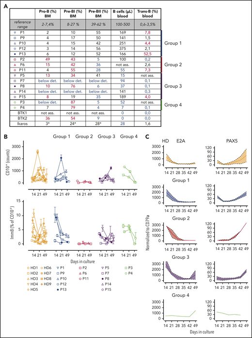 Different developmental dynamics of BM CD34+ cells from CVID patients distinguish intrinsic defects from nonpermissive BM environment. (A) The table indicates the distribution of early B-cell stages in BM aspirates, analyzed by flow cytometry in the cohort of CVID patients and in patients with defined mutations in BTK (BTK1, BTK2) and IKZF1 gene (Ikaros). Pro-B-cells are defined as CD22+ CD79a+ CD34+ CD22+, pre-BI cells as CD19+, cytoplasmic IgM−, cytoplasmic CD179a+, pre-BII cells as CD19+, cytoplasmic IgM−, IgM−. Also, peripheral B-cell counts per microliter and the percentages (%) of transitional B cells in the CD19 B-cell population are indicated. In gray shade is the reference range, high values are indicated in red, and low values in blue. Pro-B: pro-B-cells; pre-BI and pre-BII: pre-BI and pre-BII cells. *Lymphoid precursors 0.7% (reduced, normal range 2% to 22%). Below det.: below detection level; Not ass.: not assessed. (B) Distribution of developing B-cell subpopulations over time in culture starting from CVID CD34+ cells. Live CD10+ cell counts (top) and proportion of immature B cells (ImmB, %, bottom) within the CD10+ gate at days 14, 21, and 49 in HD and CVID patients. CD34+ cells from HD (yellow), from CVID patients with normal BM analysis ex vivo (group 1, blue), from CVID patients with altered early B-cell development ex vivo (group 2, red: P2, P6, and P11; group 3, purple: P5, P7, P8, P14, and P15; group 4, green: P3 and P4). Each experiment was performed with 3 to 10 replicates. Each symbol represents 1 patient. Mean and standard error of mean are represented. Filled symbols represent NFkB1-deficient (P8 in purple and P13 in blue) patients. (C) Quantitative polymerase chain reaction analysis of expression levels relative to CD79a of transcription factors driving B-cell specification (E2A) and commitment (PAX5) in cultivated B cells. Mean (line) and standard error of mean (shade) are shown and evaluated on 7 HD, 3 CVID patients in group 1 (blue), 2 patients from group 2 (red), 3 patients from group 3 (purple), and 1 patient from group 4 (green).