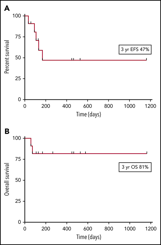 EFS and OS post-HSCT. (A) EFS, (B) OS.