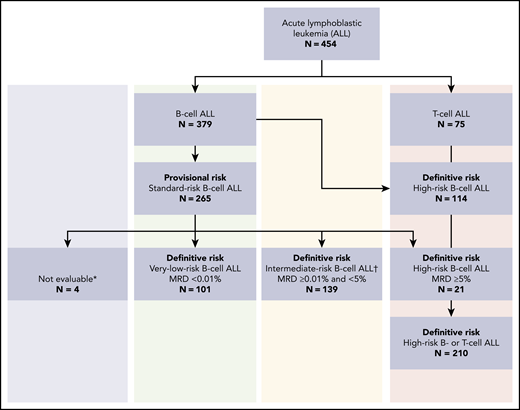 Provisional and definitive risk classification of 454 patients with acute lymphoblastic leukemia registered in the RELLA05 protocol. *Four patients did not have procedures on day 19. †MRD analysis was inconclusive in 14 patients with provisional standard risk; they were treated in the intermediate-risk group.