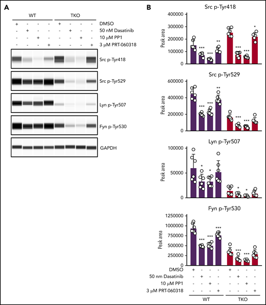SFKs auto-phosphorylate their C-terminal inhibitory tyrosine residues. (A) Representative blots of capillary-based immunoassays on platelet lysates with the indicated antibodies. Lysates were generated from platelets incubated with DMSO, 50 nM dasatinib, 10 μM PP1, or 3 μM PRT-060318 for 15 minutes, room temperature. (B) Quantification of peak areas, n = 6 mice/genotype. Asterisks refer to significant difference compared with DMSO-treated control samples within genotypes. *P < .05, **P < .01, ***P < .001, 2-way ANOVA with Sidak test; mean ± SD.