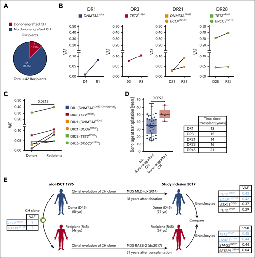 Donor-engrafted CH in allo-HSCT. (A) Proportion of donor-recipient pairs affected by donor-engrafted CH. (B) VAFs in individual donor-recipient pairs of cases of donor-engrafted CH. (C) Pooled analyses of VAFs in donor-recipient pairs with of donor-engrafted CH. Wilcoxon matched-pairs signed rank test was used to calculate statistical significance. (D) Donor age at transplantation for cases of donor-engrafted CH. Mann-Whitney test was used to calculate statistical significance. (E) Case example of donor-engrafted CH progressing to myelodysplastic syndromes. D, donor; R, recipient.