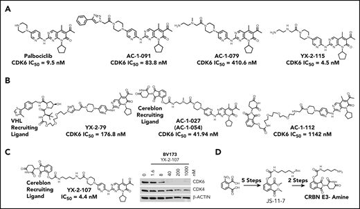 Palbociclib and derivatives. (A) Palbociclib and derivative compounds with differences in kinase inhibition due to modest changes to the piperazine-linker tail. (B) Several PROTAC candidates using various linkers and either a von Hippel-Lindau (VHL)- or a cereblon-recruiting ligand. (C) YX-2-107, a CRBN-palbociclib PROTAC, selectively degrades CDK6 in BV173 cells after 4 hours of treatment. (D) Synthesis of CRBN E3-amine component for cereblon E3 ligase recruitment and as a control.