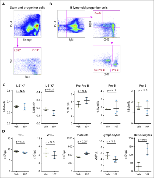 Effect of PROTAC YX-2-107 treatment on normal mouse hematopoiesis. Six (2 month-old) C57BL/6j mice were treated with vehicle (Veh) or PROTAC YX-2-107 (107) 150 mg/kg intraperitoneally daily for 10 consecutive days. Four days after cessation of treatment, peripheral blood and bone marrow (BM) cells were collected and analyzed by flow cytometry. (A) Gating strategy for the quantification of stem and progenitor cells. (B) Gating strategy for the quantification of B-lymphoid progenitor cells. (C) Percentage of progenitor populations in the BM. (D) Number of selected hematopoietic cells in the peripheral blood. P value was considered nonsignificant (N.S.) if >.05.