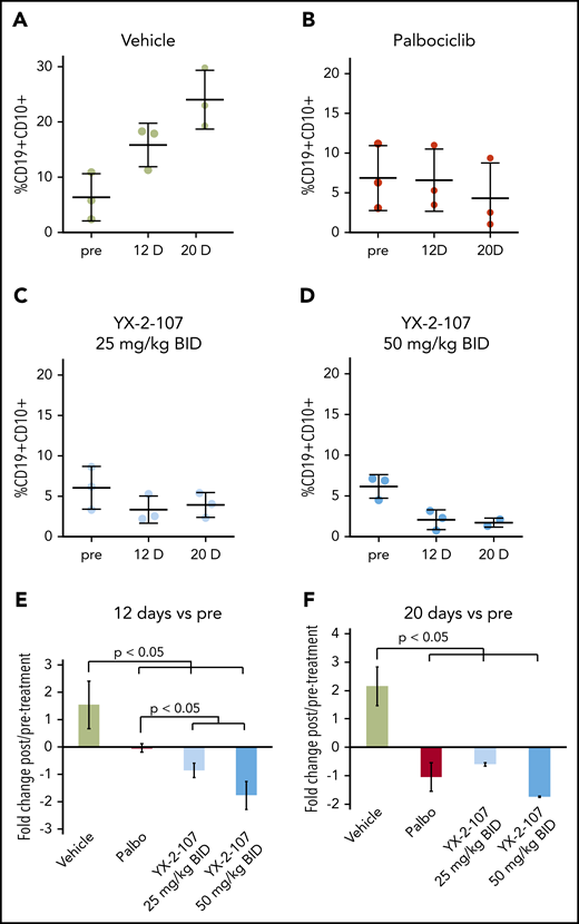 Effect of PROTAC YX-2-107 on peripheral blood leukemia burden of NSG mice injected with a TKI-resistant Ph+ ALL. NSG mice were injected with a primary, human, TKI-resistant (BCR-ABL1T315I) Ph+ ALL sample (#557). (A-D) Peripheral blood leukemia burden was analyzed at week 7 following cell injection (pre), and after 12 and 20 days of treatment with palbociclib (mixed in the diet to achieve a dose of 150 mg/kg per day) or YX-2-107 intraperitoneally (in a Kolliphor/PBS/DMSO 20:70:10 suspension, twice daily at either 25 mg/kg or 50 mg/kg). (E-F) Fold changes of the percentages shown above.