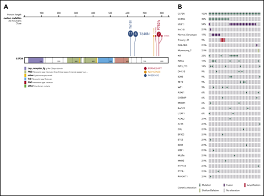 Location and cooccurring genomic profile of CSF3R mutations in pediatric AML. (A) Protein structure of CSF3R showing location of mutations detected. (B) Mutational profile of CSF3R-mutant samples with cooccurring mutation and cytogenetic changes.