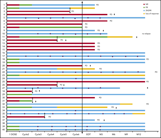 Swimmer plot for hematological response (ITT). EOT, end of therapy; M, month; NR, no response; PD, progressive disease; †, dead; ★, dFLC <10 mg/L; ↕, end of daratumumab.