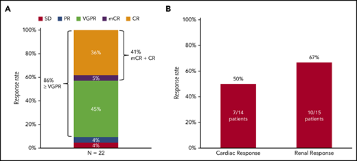 Hematologic and organ response. (A) Hematologic response by an intention-to-treat analysis. (B) Organ response.