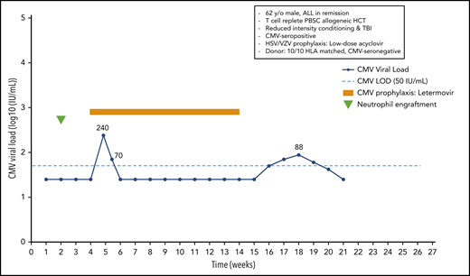 Case 2: engraftment, viral reactivation, antiviral prophylaxis, treatment, and other relevant clinical data of a 62-year-old man with ALL in remission.