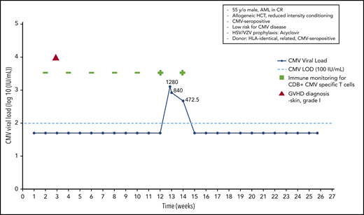 Case 4: engraftment, viral reactivation, antiviral prophylaxis, treatment, and other relevant clinical data of a 55-year-old man with AML in CR.