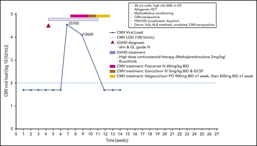 Case 5: engraftment, viral reactivation, antiviral prophylaxis, treatment, and other relevant clinical data of a 28-year-old man with high-risk AML in CR.