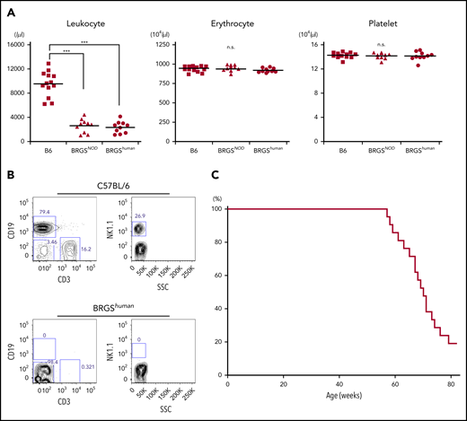BRGShumanmice do not exhibit anemia or thrombocytopenia and have a long lifespan. (A) Frequencies of blood leukocytes, erythrocytes, and platelets in adult B6, BRGSNOD, and BRGShuman mice. BRGShuman mice have leukopenia resulting from a loss of lymphocytes but have normal numbers of erythrocytes and platelets. (B) Representative flow cytometric plots of blood in B6 and BRGShuman mice. BRGShuman mice lacked T, B, and NK cells. (C) Kaplan-Meyer survival curve of BRGShuman mice (n = 22). ***P < .001.