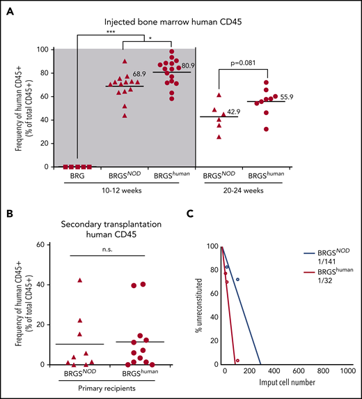 BRGShumanmice support engraftment and repopulating capability of human HSCs more efficiently than do BRGSNODmice. (A) Frequencies of human CD45+ cells in the bone marrow of BRG, BRGSNOD, and BRGShuman recipient mice injected with 5 × 103 human Lin−CD34+CD38− cells at 10 to 12 weeks (left panel) and at 20 to 24 weeks (right) after transplantation (n = 5-16 mice per strain). The numbers and horizontal lines indicate mean values. (B) Frequencies of human CD45+ cells in the bone marrow of secondary BRGSNOD recipients injected with 1 × 106 human CD45+ cells purified from the bone marrow of primary BRGSNOD or BRGShuman recipients. The horizontal lines represent mean values. (C) A limiting dilution assay was used to determine the frequencies of repopulating cells of human HSCs in BRGShuman mice (1 in 32 cells) and BRGSNOD mice (1 in 141 cells). *P < .05, ***P < .001. n.s., not significant.