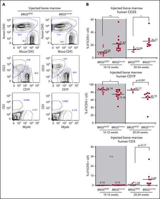 Human myeloid cell reconstitution is enhanced in BRGShumanmice. (A) Representative flow cytometric plots of reconstituted human hematopoietic cells in the bone marrow of BRGSNOD or BRGShuman recipients. The percentages of each lineage are shown as those within the human CD45+ population. Numbers indicate the percentages of gated cells. (B) Frequencies of human CD33+ myeloid cells (top panels), CD19+ B cells (middle panels), and CD3+ T cells (bottom panels) in bone marrow at 10 to 12 weeks (left panels) and at 20 to 24 weeks (right panels) after transplantation. The numbers and horizontal lines indicate mean values. *P < .05, **P < .01. n.s., not significant.