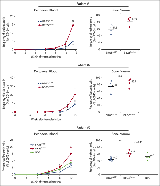 BRGShumanmice show efficient reconstitution of human AML. The kinetics of human CD45+CD33+ AML cells (patients 1 and 2, top and middle panels) and CD34+ AML cells (patient 3; bottom panels) after transplantation into BRGShuman, BRGSNOD, and NGS mice in the peripheral blood (left panels) and the bone marrow (right panels). The proportions of AML cells in the blood were monitored every 2 weeks, followed by the analysis of bone marrow at the final time point. In all 3 experiments, human AML cell chimerism in BRGShuman mice exceeded that in BRGSNOD mice. *P < .05, **P < .01. n.s., not significant.
