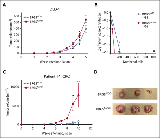 BRGShumanmice show efficient reconstitution of human solid cancer cells. (A) Tumor growth curves of DLD-1 cells. DLD-1 cells were transplanted subcutaneously into BRGSNOD or BRGShuman mice, and tumor volume was measured every week (n = 6 each). (B) Analysis of tumor-forming capabilities of DLD-1 cells in BRGSNOD and BRGShuman recipients using an extreme limiting dilution assay; 40, 200, or 1000 DLD-1 cells were injected subcutaneously into BRGSNOD and BRGShuman mice (n = 6 each). Tumor formation was examined 4 weeks after inoculation. (C) Growth curves of xenograft tumors produced by patient-derived CRC cells 10 weeks after inoculation (n = 6 each). Data are mean ± standard deviation. (D) The tumor harvested from each mouse at 10 weeks after inoculation. *P < .05, **P < .01.