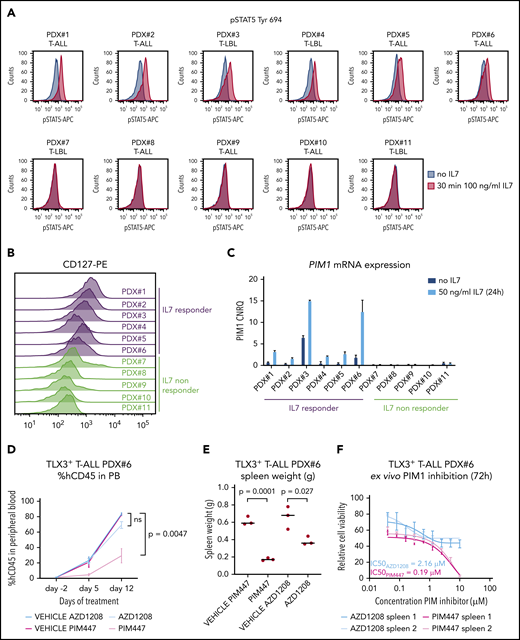 A subset of T-ALL/T-LBL patients upregulates PIM1 expression in response to IL7. (A) PDX spleen samples were stimulated with 100 ng/mL IL7 for 30 minutes, after which phosphorylation sites were fixed with methanol and pSTAT5 (Tyr 694) was measured by flow cytometry. (B) CD127 protein expression levels, analyzed by flow cytometry, for 11 PDX spleen samples. (C) PDX spleen samples were stimulated with 50 ng/mL IL7 for 24 hours and were subsequently collected for RNA isolation. PIM1 messenger RNA (mRNA) expression levels are shown, measured by quantitative RT-PCR (RT-qPCR). (D) A PDX model of PDX#6 was established, after which 3 mice per group were treated for 2 weeks (5 days on/2 days off) with either 30 mg/kg AZD1208 or 100 mg/kg PIM447 or their respective vehicles. The percentages of human CD45+ (%hCD45+) leukemic blasts in peripheral blood (PB) are shown per group for 3 time points. (E) PDX#6 mice were euthanized after 2 weeks of treatment with either AZD1208 or PIM447. Spleen weights are shown per treatment group. (F) Ex vivo treatment of PDX#6 spleen cells. Fifty thousand cells were treated per condition for 72 hours in 10% RPMI supplemented with 10 ng/mL IL7, 50 ng/mL stem cell factor (SCF), 20 ng/mL FLT3, and 100 ng/mL IL2, in duplicate. Adenosine triphosphate (ATP) content was measured by means of a CellTiter-Glo viability assay. CNRQ, calibrated normalized relative quantity; IC50, 50% inhibitory concentration; PE, phycoerythrin.