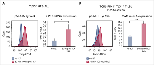 Intrinsic and extrinsic PIM1 activation can co-occur. (A) HPB-ALL cells were stimulated with 100 ng/mL IL7 for 30 minutes and stained for pSTAT5 (Tyr 694) conjugated to APC (left panel). For downstream differential transcriptional analysis via PIM1 RT-qPCR, cells were stimulated with 50 ng/mL IL7 for 24 hours (right panel). (B) PDX#3 spleen cells were stimulated with 100 ng/mL IL7 for 30 minutes and stained for pSTAT5 (Tyr 694) conjugated to APC (left panel). For downstream differential transcriptional analysis via PIM1 RT-qPCR, cells were stimulated with 50 ng/mL IL7 for 24 hours (right panel). *P < .05; **P < .01