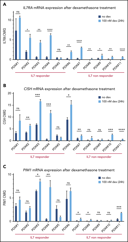 Glucocorticoid-responsive T-ALL/T-LBL PDX samples show IL7R/CISH/PIM1 upregulation upon dexamethasone treatment. (A) IL7R mRNA expression levels are shown for 11 PDX spleen samples with and without 100 nM dexamethasone (dex) treatment of 24 hours, in 10% RPMI supplemented with 50 ng/mL IL7. (B) CISH mRNA expression levels are shown for 11 PDX spleen samples with and without 100 nM dexamethasone treatment of 24 hours, in 10% RPMI supplemented with 50 ng/mL IL7. (C) PIM1 mRNA expression levels are shown for 11 PDX spleen samples with and without 100 nM dexamethasone treatment of 24 hours, in 10% RPMI supplemented with 50 ng/mL IL7. *P < .05; **P < .01; ***P < .001; ****P < .0001. ns, non significant.