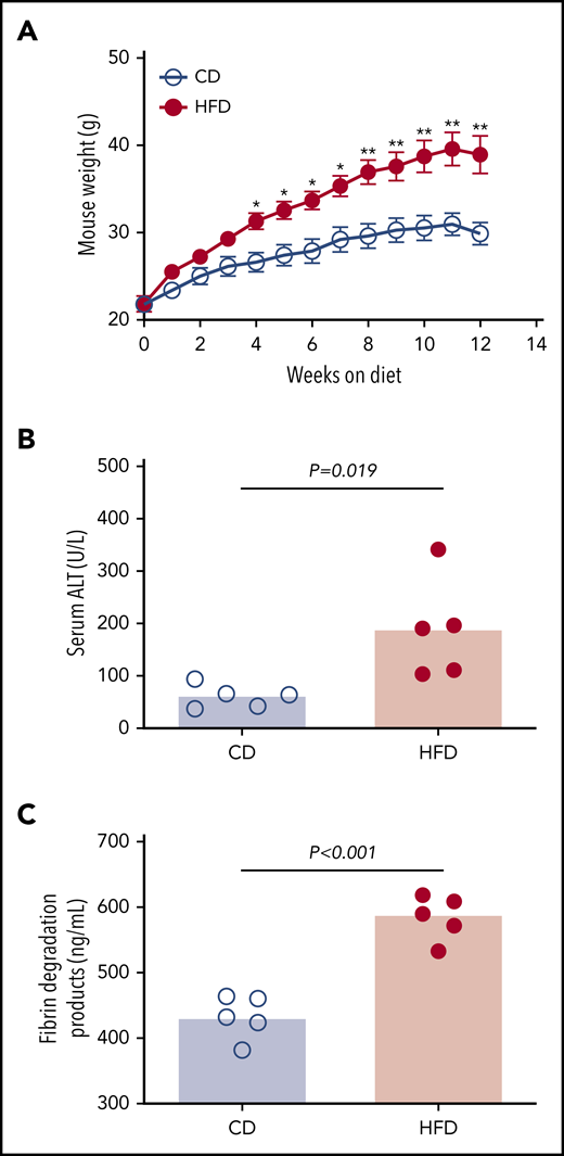 HFD leads to obesity and increased circulating fibrin degradation products. Mice were fed for 12 weeks with a CD or a HFD (N = 5/group). (A) Mean body weight, *P < .05 and **P < .01. (B) Serum alanine ALT and (C) plasma fibrin degradation products. Bars indicate medians; each dot represents a separate mouse.