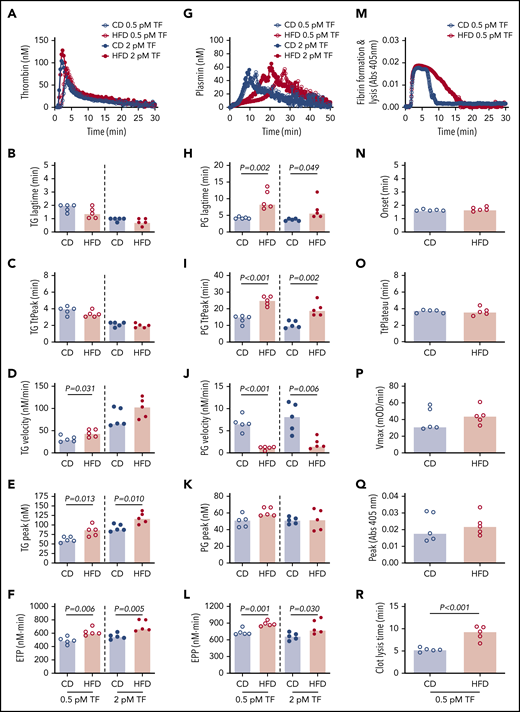 HFD increases TG and delays PG and fibrinolysis. (A-F) TG and (G-L) PG for CD- and HFD-fed mice were measured in the presence of 0.5 or 2 pM TF, as indicated, and 0.31 μg/mL rtPA (for PG assays). (M-R) Turbidity was measured in the presence of 0.5 pM TF and 0.31 μg/mL rtPA. Panels A, G, and M show representative curves. Bars indicate medians. Each dot represents a separate mouse.