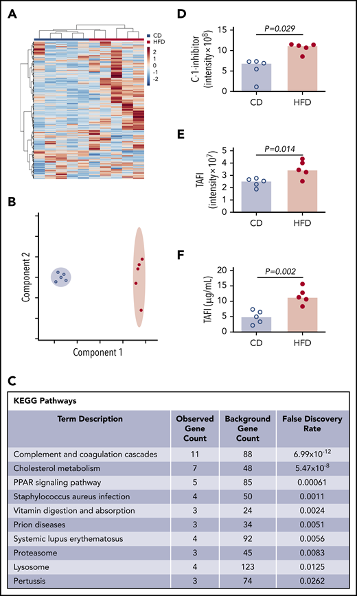 Mass spectrometry detects altered concentrations of coagulation and fibrinolytic proteins in plasma. (A) Heat map with Ward clustering of protein relative abundances (Z-scored). (B) Partial least squares discriminant analysis data reduction based on relative abundances of plasma proteins from (blue circles) CD- and (red circles) HFD-fed mice. (C) Enrichment of functional pathways in HFD-fed mice by Kyoto Encyclopedia of Genes and Genomes analysis. (D-E) Relative C-1-inhibitor and TAFI levels in CD- and HFD-fed mice determined by mass spectrometry. Intensity measurements are area under the curve for all peptides originating from the listed protein. (F) TAFI concentrations determined by ELISA. Bars indicate medians. Each dot represents a separate mouse.