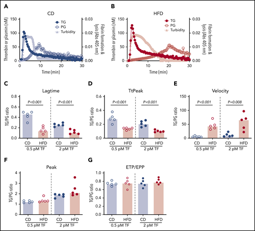 TG/PG ratios reveal a prothrombotic phenotype in HFD-fed mice. Representative curves of TG, PG, and turbidity for (A) CD-fed mice and (B) HFD-fed mice. TG/PG ratios were calculated by dividing each TG parameter by the corresponding PG parameter. Panels show TG/PG ratios for (C) lag time, (D) TtPeak, (E) velocity, (F) peak, and (G) ETP/EPP. Bars indicate medians. Each dot represents a separate mouse.