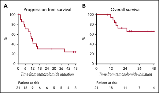 Patient outcomes. (A) PFS and (B) OS from TMZ initiation.