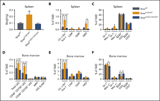 Hematopoietic populations in NrasG12D,C181S/WTmice. (A) Normal spleen size in NrasG12D,C181S/WT mice (n = 4). (B-C) Immunophenotypic analysis indicating low frequencies of myeloid progenitor cells (B) and differentiated myeloid cells (C) in the spleens of NrasG12D,C181S/WT mice (n = 4). (D-F) Flow-cytometric analysis of the BM of NrasG12D,C181S/WT mice (n = 4) showing normal frequencies of LKS cells (D), myeloid progenitors (E), and differentiated myeloid/lymphoid cells (F). Bar graphs show average values ± SEM. *P < .05; **P < .01; ***P < .001.