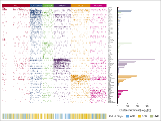 Heat map of characteristic mutations from each of the 6 genetic clusters that were identified by using the Akaike information criterion in the analysis cohort (n = 928). Distinct clusters are identified by color. Along the bottom of the figure, the color strip shows the corresponding cell-of-origin classification for each patient. The panel on the right-hand side shows the enrichment for mutations within each cluster, with a logarithmic q-value scale. Only those mutations are shown that are identified as significantly enriched for the given group, as determined by a Benjamini-Hochberg adjusted q < 0.05 from a χ2 test of independence. “HD” indicates the homozygous deletion or a mutation in this gene; “noncan” denotes a non-canonical mutation; and “amp” indicates an amplification. For cell-of-origin, UNC represents the unclassified group.