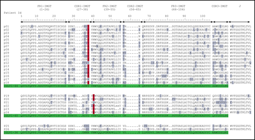 Deduced AA sequences of the monoclonal λ LC VJ domains in patients with POEMS syndrome compared with germline sequences according to IMGT numbering. Mutated AAs are highlighted in gray, and the redundant mutations in position 38 for IGLV1-44 and position 40 for IGLV1-40 are highlighted in red. Germline sequences are highlighted in green.