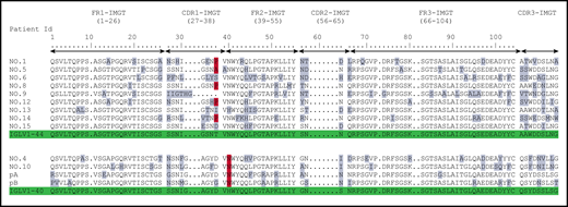 Previously published AA sequences of POEMS syndrome compared with germline sequences according to IMGT numbering. Numbers 1 to 15 from Abe et al6 and pA/pB from Martin et al.5 Mutated AAs are highlighted in gray, and the redundant P or A mutations in position 38 for IGLV1-44 and N in position 40 for IGLV1-40 are highlighted in red. Germline sequences are highlighted in green.