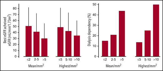 Renal outcomes according to mean and highest number of casts in the cortex.
