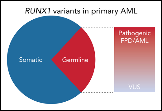 Among the nonpolymorphic RUNX1 variants identified in 430 adult AML specimens from the Leucegene AML cohort, 29% were germline. Of the 10 distinct germline variants identified, 6 were classified as pathogenic or likely pathogenic by the MM VCEP criteria; 8 of the 10 were predicted to be deleterious to RUNX1 function by functional studies or prediction algorithms. VUS, variant of unknown significance.