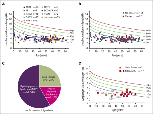 Prevalence and cancer phenotypes in patients with germline defects in telomere maintenance. (A) Telogram of lymphocyte telomere lengths of 176 short telomere syndrome patients relative to a nomogram of healthy controls with percentile lines labeled on the right. The mutant gene for each subject is color coded and the key is shown above the chart. Four patients included in this study were deceased prior to telomere-length measurement. (B) Telogram showing the patients with noncutaneous cancer diagnoses within the Johns Hopkins cohort of 176 patients in this study denoted in red; individuals without cancer are denoted in gray. One MDS/AML patient (among 23 with cancer) is not shown because of missing telomere-length data as explained in panel A. (C) Distribution of the 24 cancer types identified in 23 patients. (D) Telogram showing solid tumor and MDS/AML cancers by age and sex. The squares refer to male subjects and circles to female subects. DKC1 mutation carriers are annotated to show their young-onset disease and predilection to solid tumors.