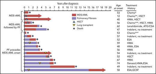 Treatment outcomes and clinical course of telomere-mediated MDS/AML. Swimmer plot of outcomes of 18 short telomere patients with MDS/AML clustered by co-occurrence of pulmonary fibrosis (PF). The age and treatment are shown to the right. Red bar shows time since diagnosis of MDS/AML, and purple indicates time since onset of pulmonary fibrosis symptoms. HSCT and lung transplant are graphically indicated along the timelines. The length of the bar represents follow-up through death or through last assessment. *This patient received standard acute lymphoblastic leukemia (ALL) therapy and therapy-related AML was diagnosed 8 months into the treatment, then he was treated with a mitoxantrone/etoposide salvage regimen. ***These 2 patients received standard intensive induction for high grade MDS and AML. ATG, antithymocyte globulin; Chemo, chemotherapy; CSA, cyclosporine; ESA, erythropoietin-stimulating agent; GCSF, granulocyte colony-stimulating factor; HMA, hypomethylating agent.